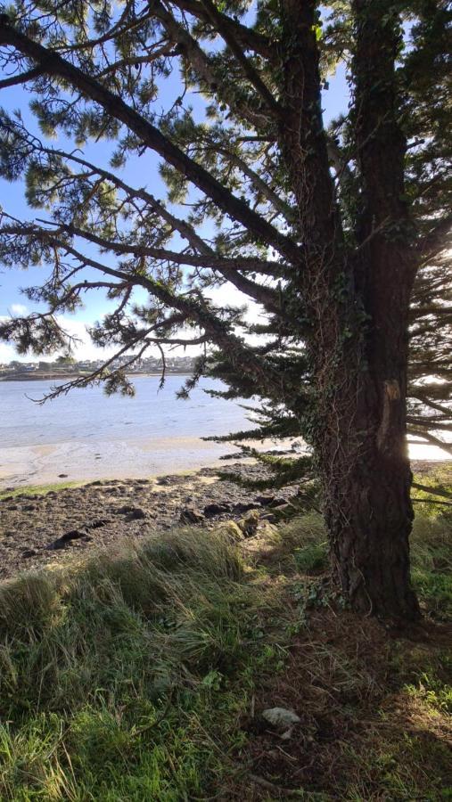 Dependance Spacieuse & Cosy Entre Et Mer Avec Spa Landéda 外观 照片